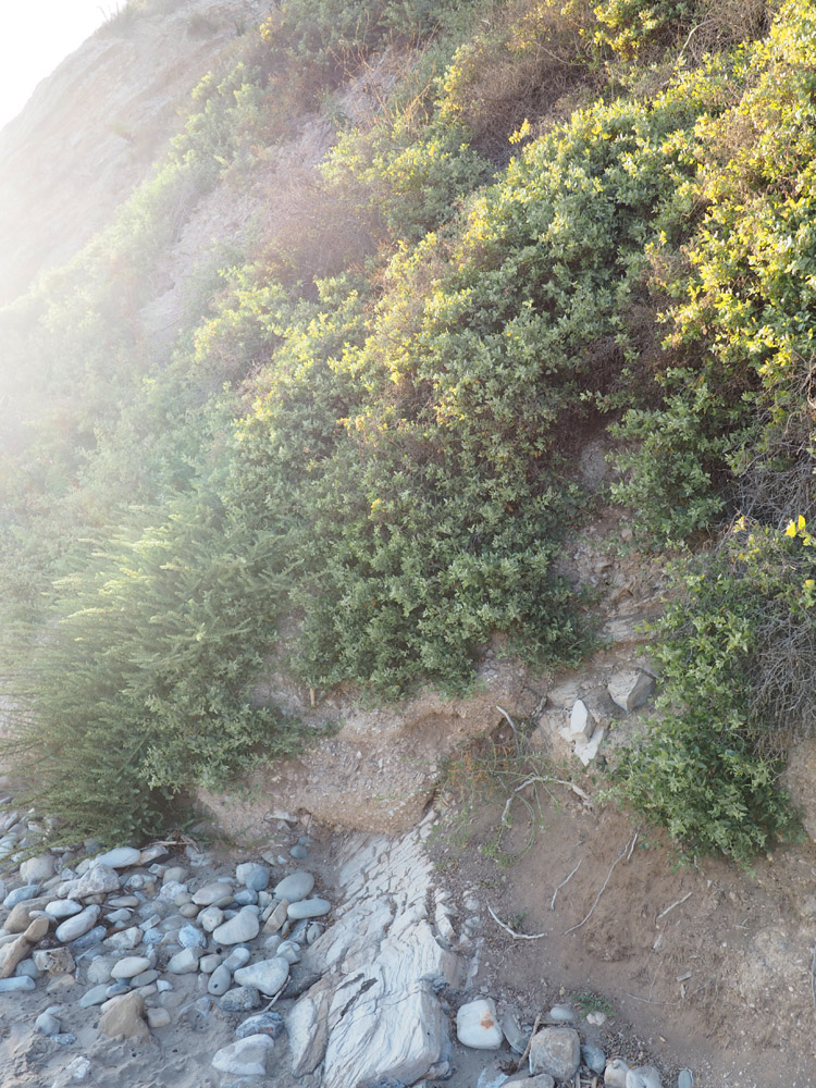 California dreaming und Näharbeit in Köln | golden cage